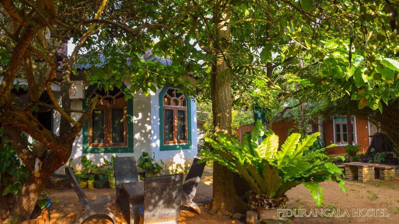 Pidurangala Hostel Sigiriya Exteriér fotografie