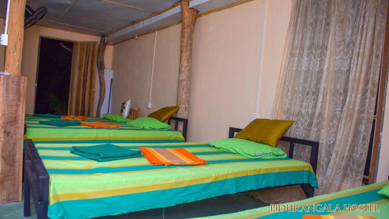 Pidurangala Hostel Sigiriya Exteriér fotografie